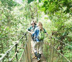 Tourists in bird observatory in the jungle of Loreto